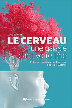 cerveau galaxie tête