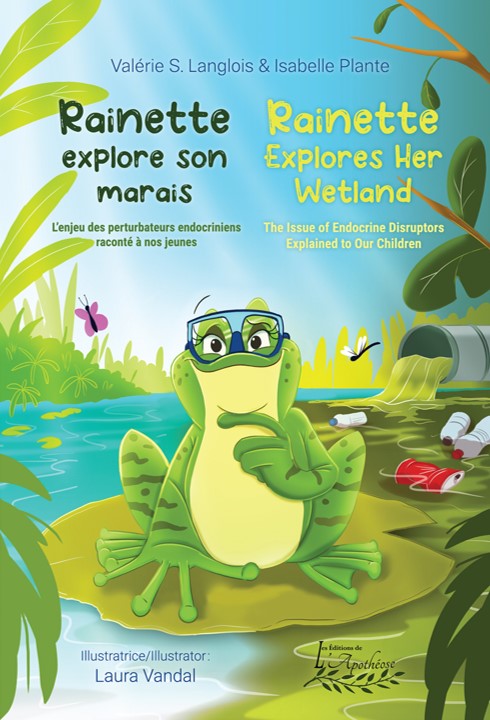 Rainette explore son marais